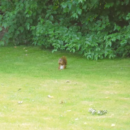 Hummelcasa Bayreuth Dom wakacyjny