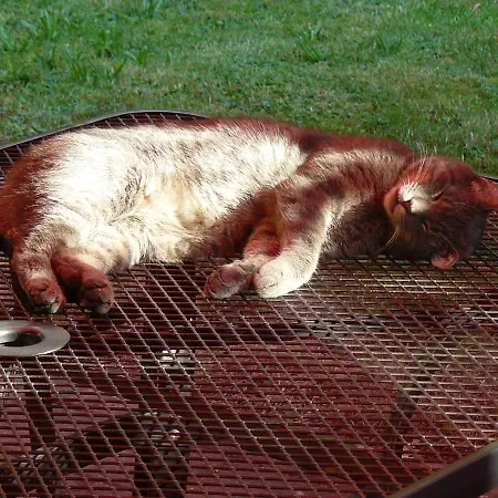 Hummelcasa Bayreuth Nyaraló